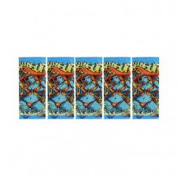 Wraps pour accus 18650 (5pcs) Pirate Girl