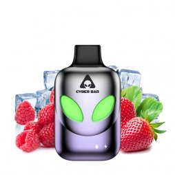 Puff AL8000 Strawberry Raspberry Ice 0mg 10ml - Cyber Bar