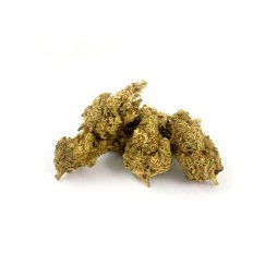 Lemon Haze CBD Flower (15g) - Greeneo Le Petit Chanvrier