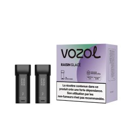 Cartridge Switch 600 2ml Raisin Glacé (2pcs) - Vozol