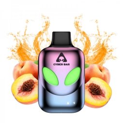 Puff AL8000 Juicy Peach 0mg 10ml - Cyber Bar