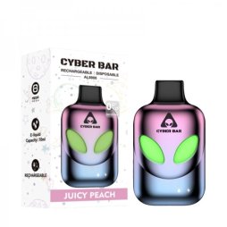 Puff AL8000 Juicy Peach 0mg 10ml - Cyber Bar