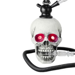 Skull hookah