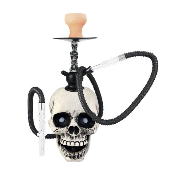 Shisha Skull Model