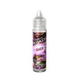 Haven 0mg 60ml - Twelve Monkeys Oasis