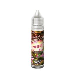 Paradise 0mg 60ml - Twelve Monkeys Oasis