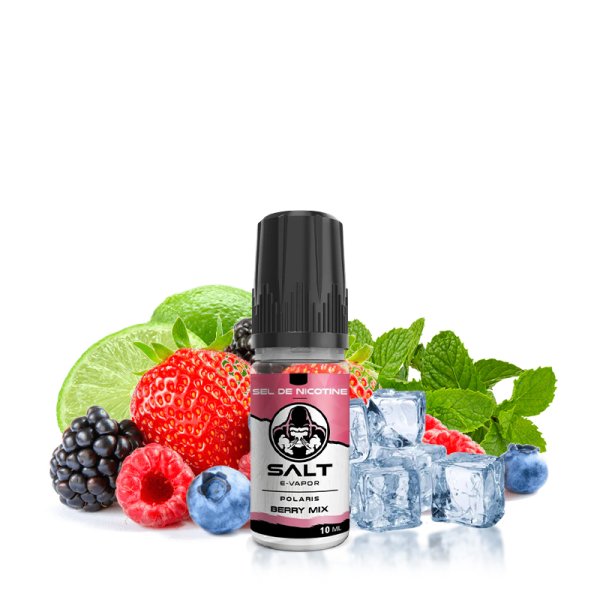 Polaris Berry Mix 10ml - Salt E-vapor