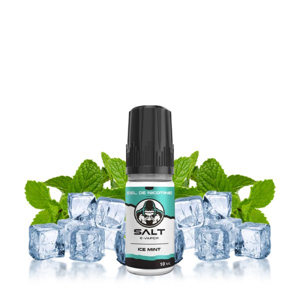 Ice Mint - Salt E-vapor 10ml TPD