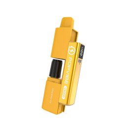 5000 Puff Pineapple Ice - Popvibe V5000 by Geekvape