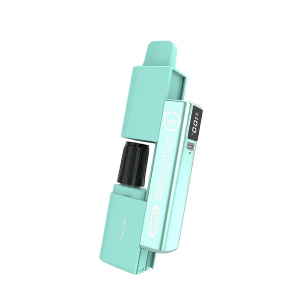 [Destockage] 5000 Puff Menthol - V5000 by Popvibe