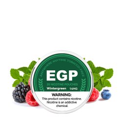 Pouch WinterGreen 14mg (20pcs) - EGP