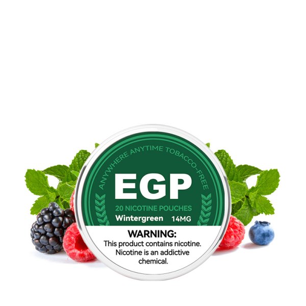 [Destockage] Pouch Winter Green 6/9/14/20mg (20pcs) - EGP