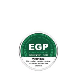 Pouch WinterGreen 14mg (20pcs) - EGP