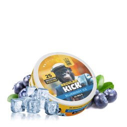 Pouch Kick Blueberry Ice - Aroma King