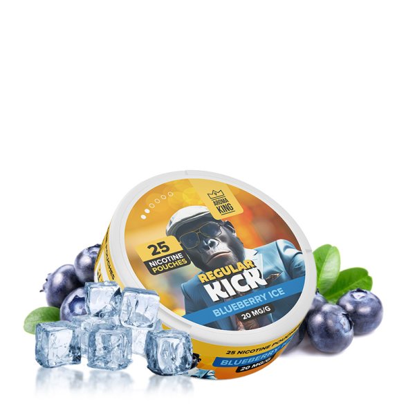 Pouch Regular Kick Blueberry Ice - Aroma King