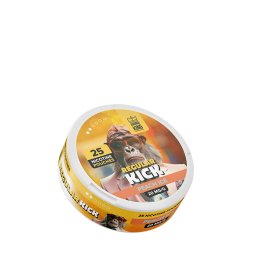 Pouch Regular Kick Peach Ice - Aroma King