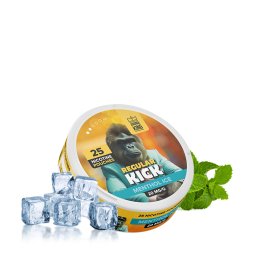 Pouch Kick Menthol Ice - Aroma King