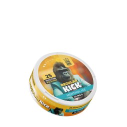 Pouch Regular Kick Menthol Ice - Aroma King