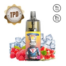 10000 Puff Raspberry Watermelon Ice 10ml - Tornado by Gobar