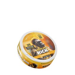 Pouch Regular Kick Exotic Ice - Aroma King