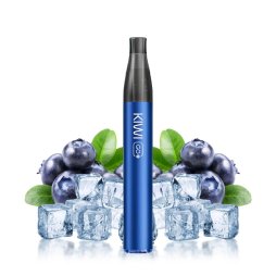 Starter Kit Blueberry Ice Kiwi Go+ - Kiwi Vapor