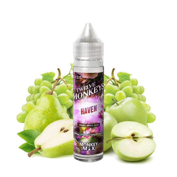 Haven 0mg 60ml - Twelve Monkeys Oasis