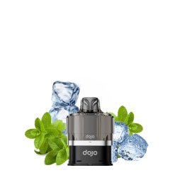 Cartouche Pré-Remplie Dojo Blast 6000 Menthol 20mg (1pcs) - Vaporesso