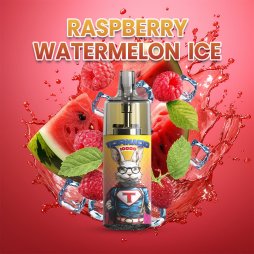 10000 Puff Raspberry Watermelon Ice 10ml - Tornado by Gobar