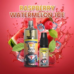 10000 Puff Raspberry Watermelon Ice 10ml - Tornado by Gobar