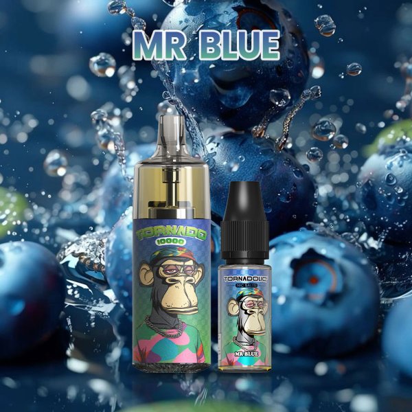 10000 Puff Mr Blue 10ml - Tornado by Gobar