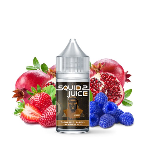 Concentré Master 30ml - Squid Juice 2