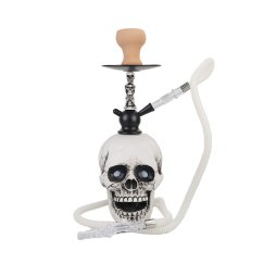 Shisha Skull Model