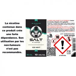 Ice Mint - Salt E-vapor 10ml TPD
