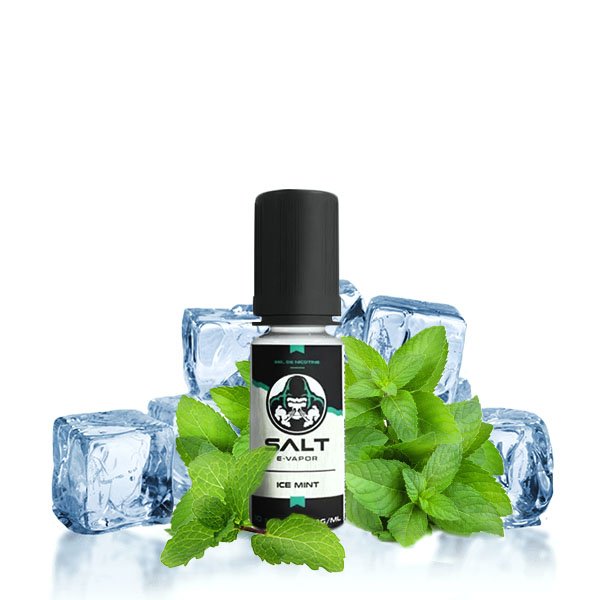 Ice Mint 10ml - Salt E-vapor